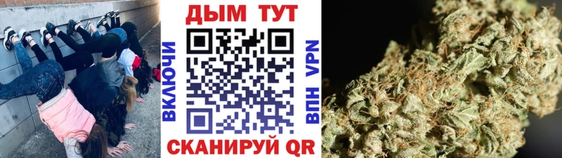 Шишки марихуана планчик  OMG сайт  Бирюч 